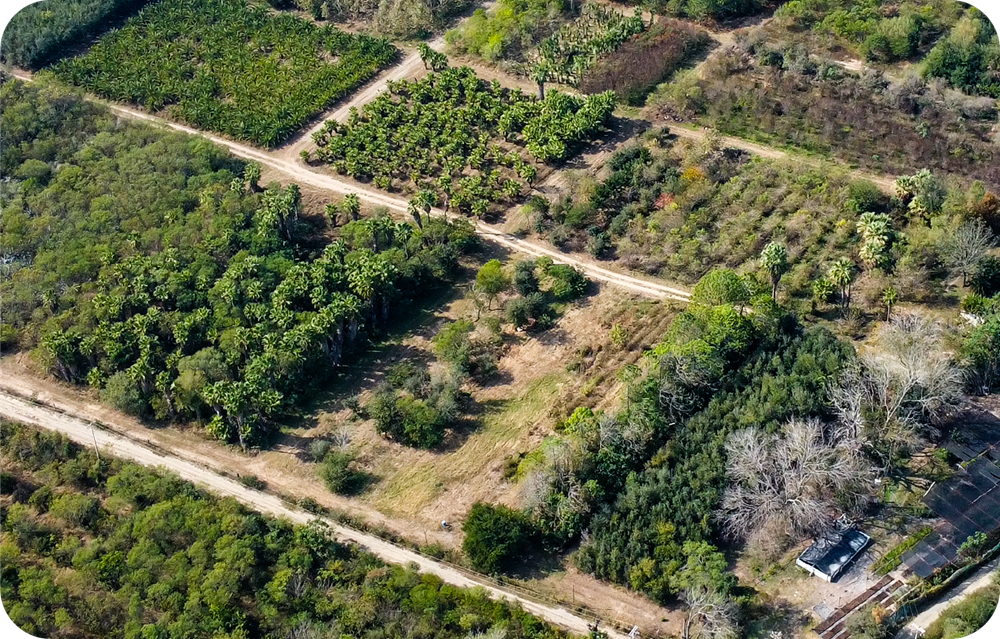 Visita a la productora de Grupo Orcotec