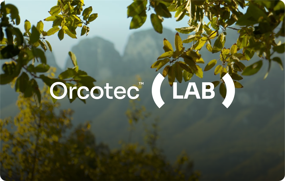 Descubre cómo concebimos, diseñamos y construimos espacios vivos.